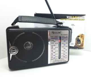 Радио+МР3 плеер RX-606AC