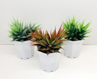 Стат. цв. Алоэ в горшке 13,5 см.658-1