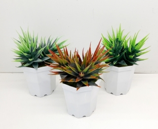 Стат. цв. Алоэ в горшке 13,5 см.658-1