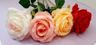 Стат. цв Роза атласная 50 см. Z-60/LY-2