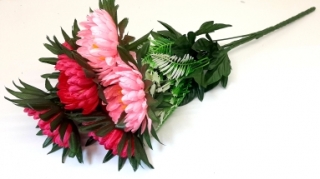 Астры 48 см. W-38 (7 голов)