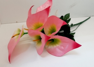 Каллы 53 см. DG-25 (7 голов)