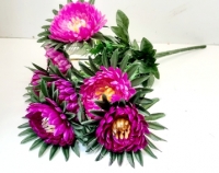 Пионы 47 см. W-38 (7 голов)