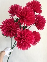 Георгины 63 см. W-31 (7 голов)