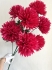 Георгины 63 см. W-31 (7 голов)