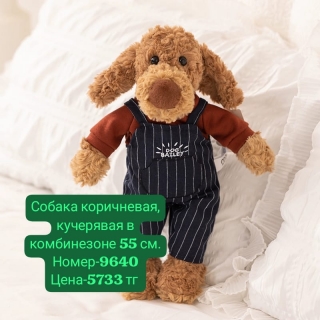 Собака коричневая, кучерявая в комбинезоне 55 см.