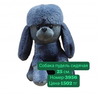 Собака пудель сидячая 25 см.