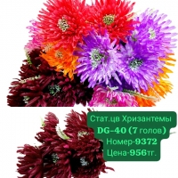 Хризантема 60 см. DG-40 (7 голов)
