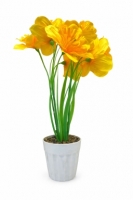 Нарциссы в горшке 40 см. Z-114 
