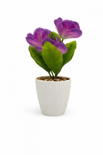 Орхидея в горшке 26 см. Z-117