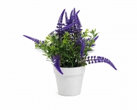 Лаванда в горшке 24 см. Z-128