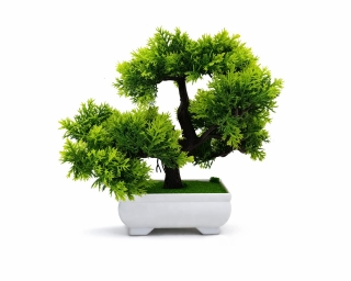 Бонсай в горшке 20 см. Z-127