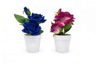 Розы в горшке 25 см. Z-121