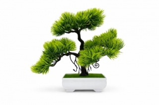 Бонсай в горшке 25 см. Z-126