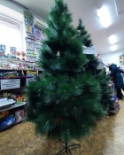 Сосна 2,4 м (4 части)