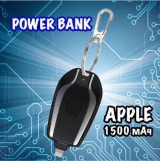 Зарядное устройство в коробке, брелок (IPhone, Power Bank)