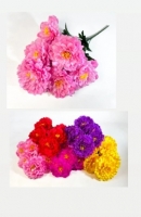 Георгины 67 см. QR-23 (6 голов)