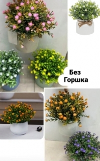 Самшит 15 см. 658-3 (для горшка)