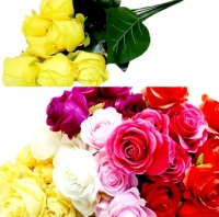 Стат. цв. Розы 60 см. ZJ-26 (7 голов)