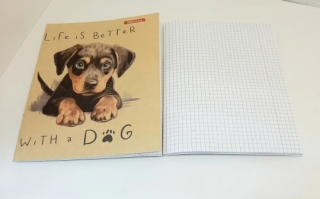 Тетрадь общая 48 л., 34288/4042 (крафт, клетка)