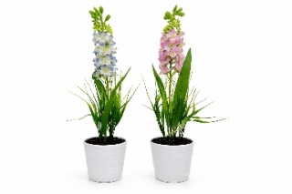 Дельфиниум в горшке 36 см. Z-116 