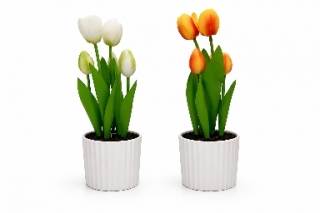 Тюльпаны в горшке 30 см. Z-118 