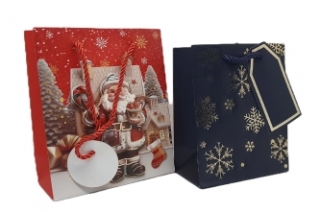 Пакет подарочный новогодний плотный 10*15