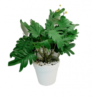 Стат. цв. Филодендрон в горшке 43 см. NY-55/MB23AR1111