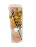 Стат. Аромадиффузор в блистере XS-2