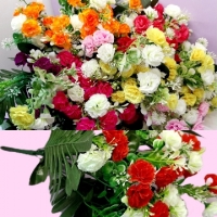 Стат. цв.Гвоздика садовая 50 см. Х-42 ( 12  веточек)