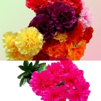 Стат.цв.Гвоздики 50 см.Х-77 ( 7голов)