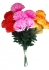 Хризантемы 55 см. QR-109 (7 голов)