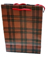 Пакет подарочный 31*42 (в полоску/клеточку)