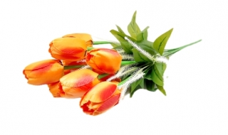 Тюльпаны 50 см. С-3 (12 голов)