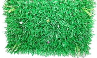 Стат. цв. Банер- травка 40*60 см.12-28 ( с цветами)