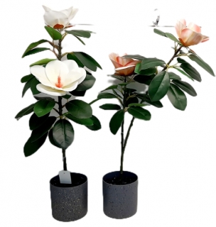 Стат. цв. Розы в горшке