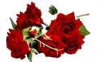 Стат. цв. Розы красные 46 см.А140-4 ( 7 голов)