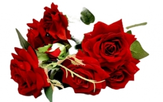 Стат. цв. Розы красные 46 см.А140-4 ( 7 голов)