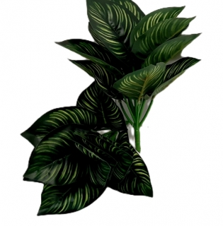 Стат. цв.Калатея 30 см.А140-7 ( 13 листочков, для горшка)