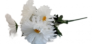 Ромашки 78 см. CH-17 (7 голов)