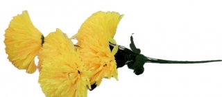 Хризантемы 80 см. Z-051 (6 голов)