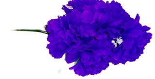 Хризантемы 55 см. Z-012 (6 голов)