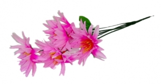 Георгины 35 см. Z-003 (5 голов)