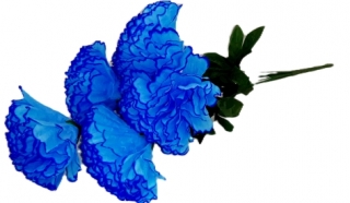 Хризантемы 60 см. Z-027 (6 голов)