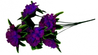 Хризантемы 40 см. Z-006 (6 голов)