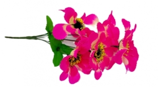 Анемоны 35 см. Z-001 (5 голов)