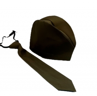 Пилотка военная ( сгалстуком)