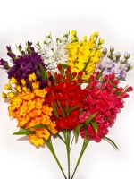 Гладиолусы 65 см. GP-19 (5 веточек)